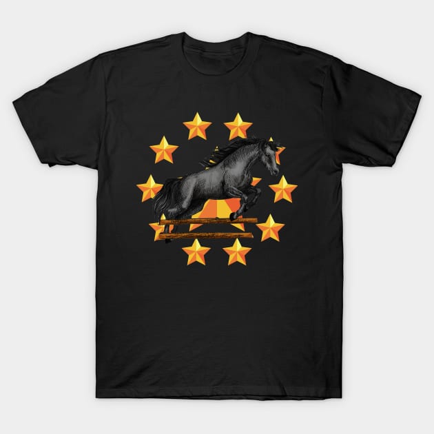 Star jumper! T-Shirt by Finn Art by MB